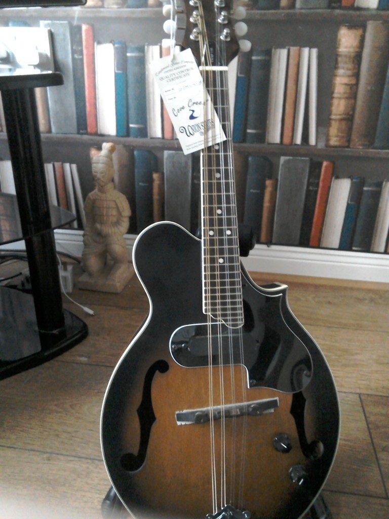 Tanglewood electro acoustic mandolin. in Newtownards, County Down