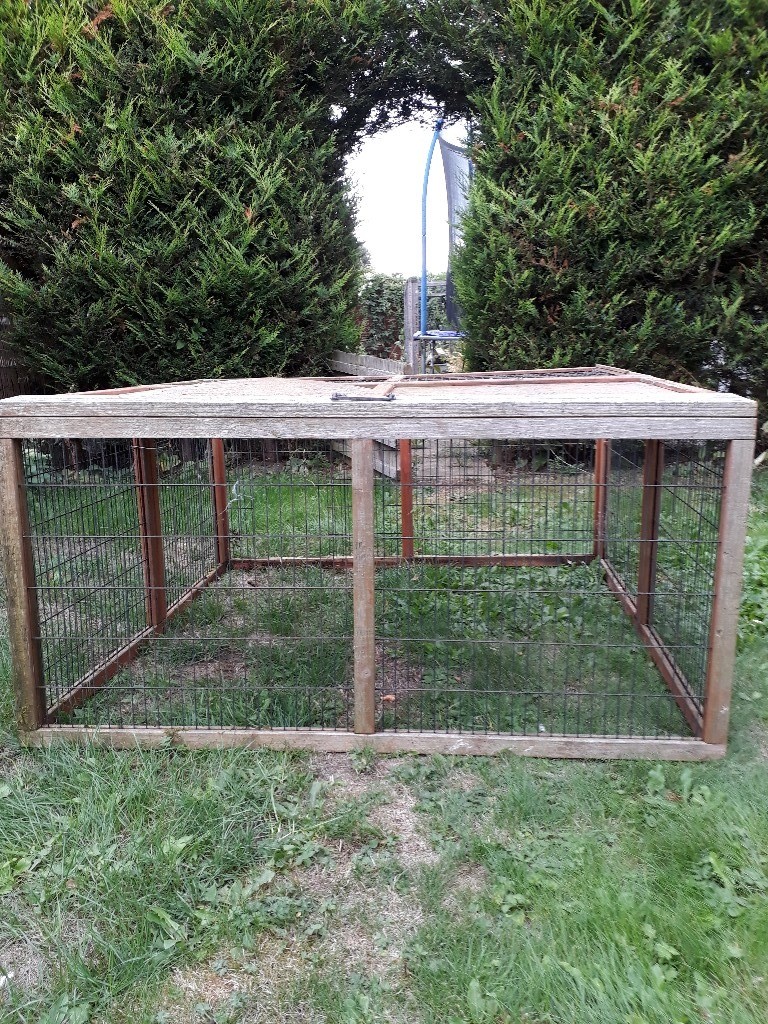 rabbit run in York, North Yorkshire Gumtree