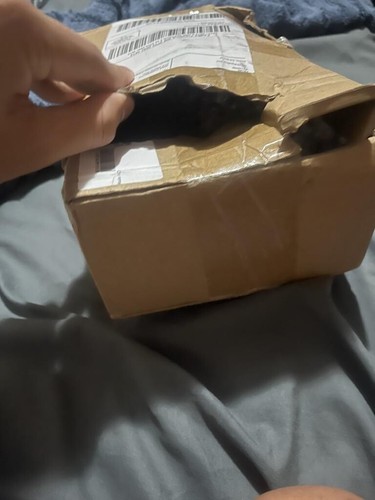 Artikelfoto(s) von einem verifizierten Käufer