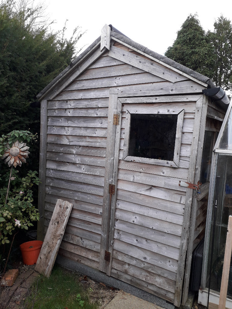Garden Shed 8ft x 6ft in BradfordonAvon, Wiltshire Gumtree