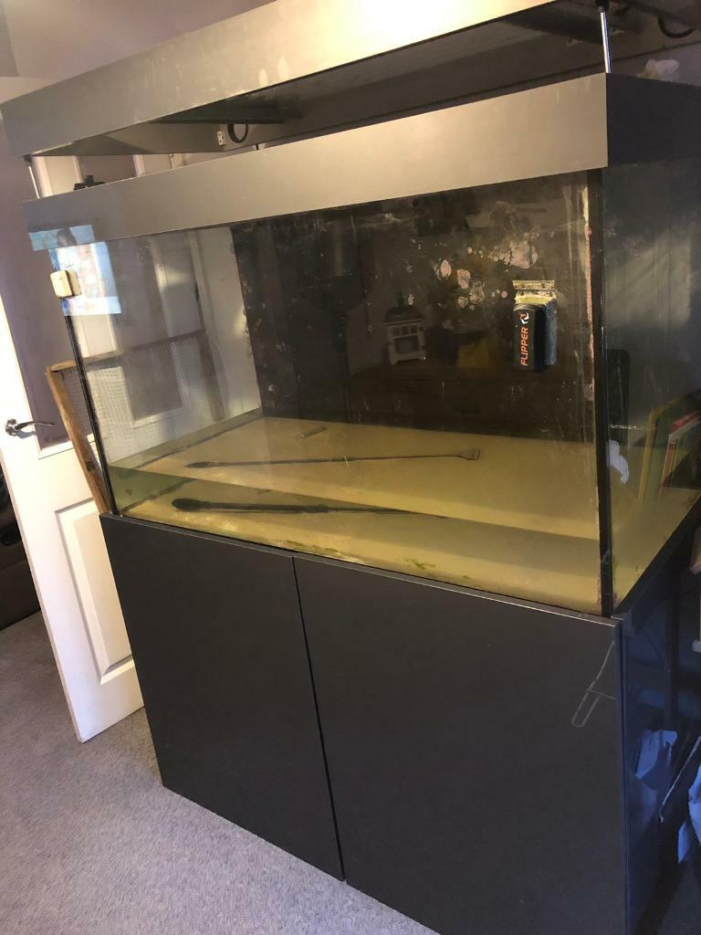 Nd aquatics Marine fish tank gloss grey in Kingswood, Bristol Gumtree