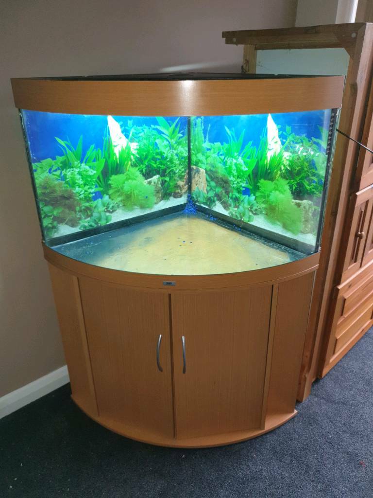 Jewel trigon 190 corner fish tank and stand in StanfordleHope