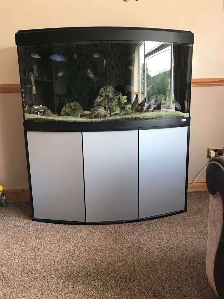 4ft Fluval fish tank in Bartley Green, West Midlands Gumtree