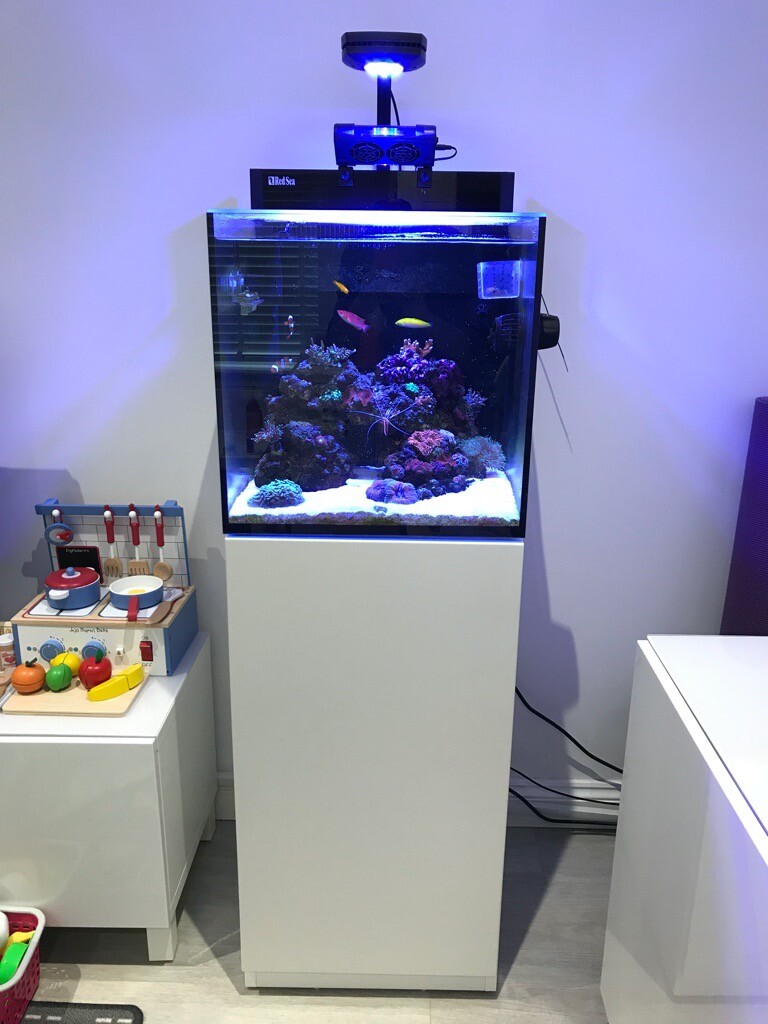 Redsea Max Nano Marine Aquarium. Red Sea Fish Tank. in Wymondham