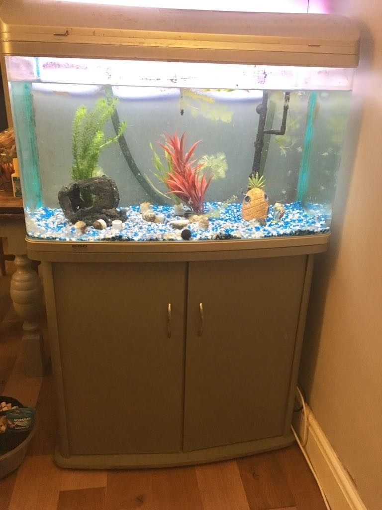 160 litre fish tank with stand and filter system quick sale needed in