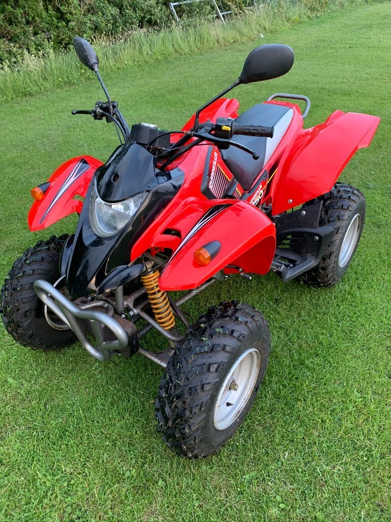quadzilla 250cc