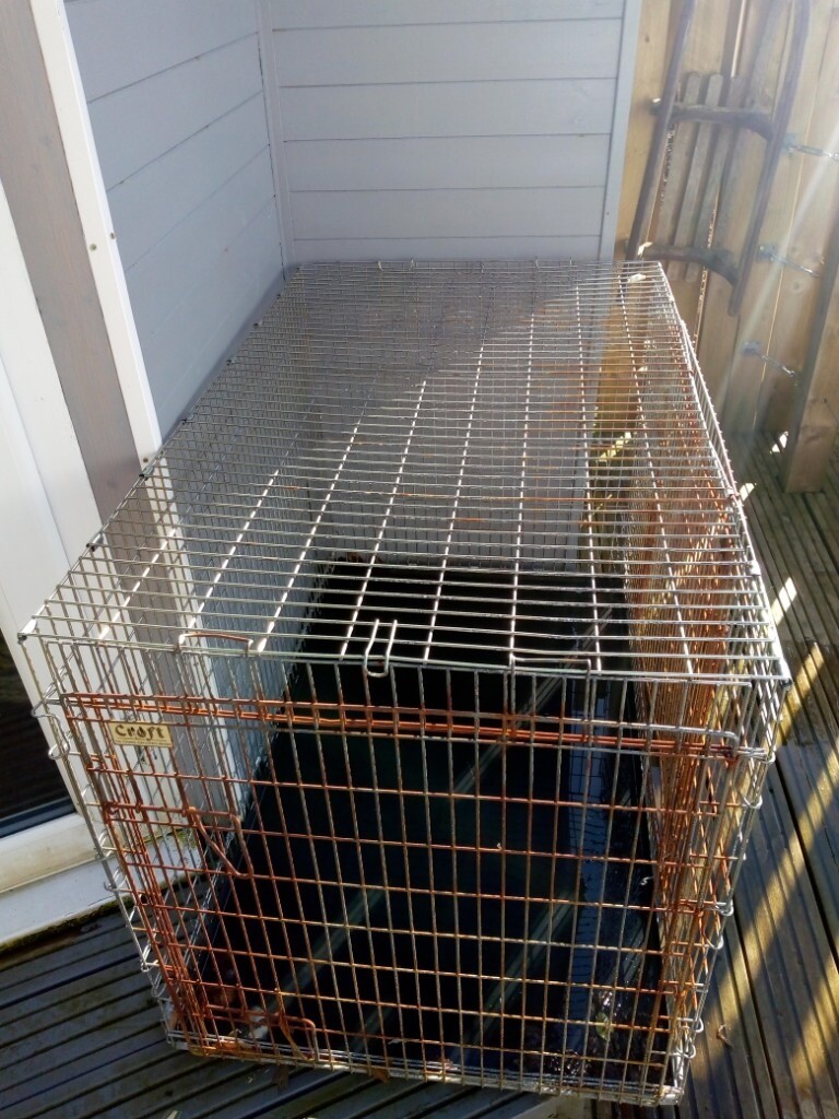 Croft Extra Large Dog Crate in Carlisle, Cumbria Gumtree