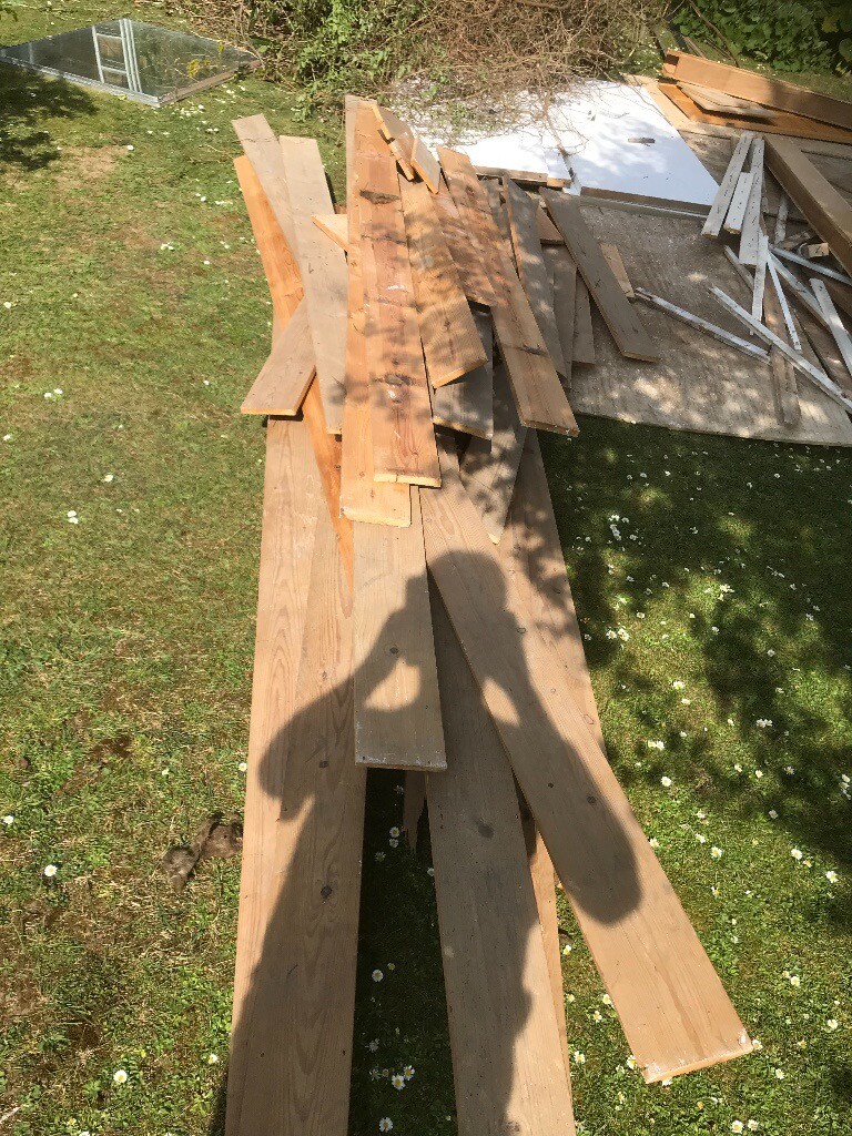 wood to collect for free in Rottingdean, East Sussex Gumtree