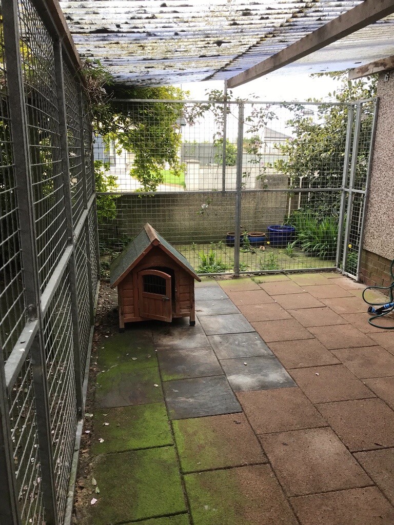 Steel Dog Run In Newtownabbey County Antrim Gumtree