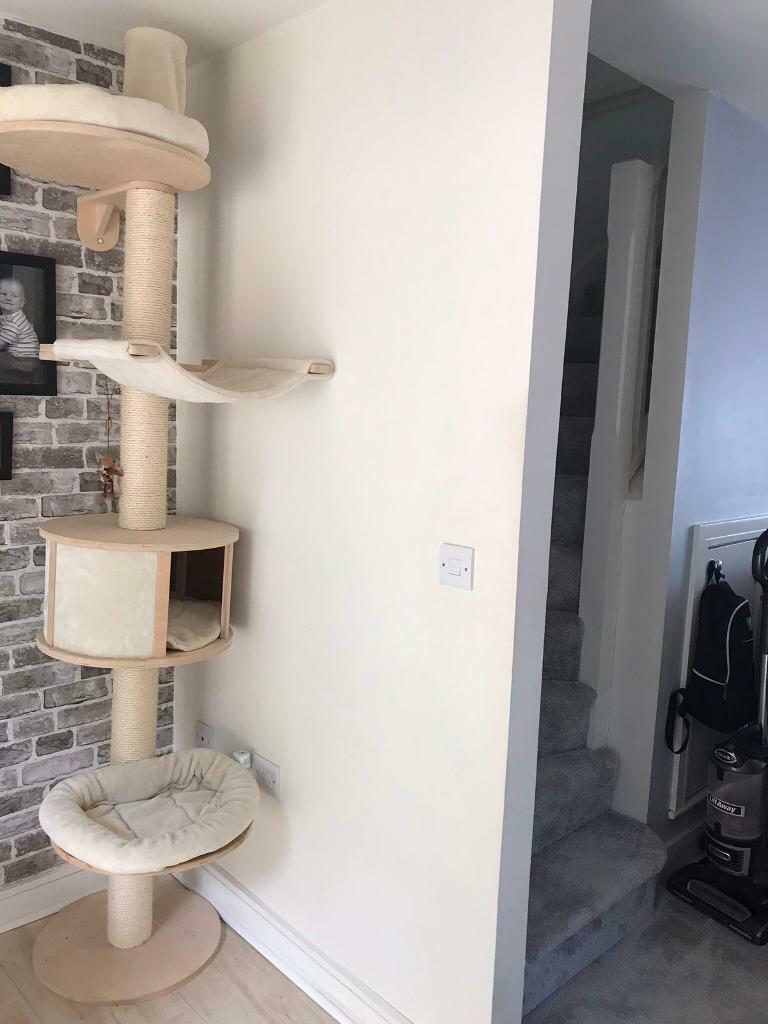 Cat Tree Floor To Ceiling Excellent Condition In Torquay Devon