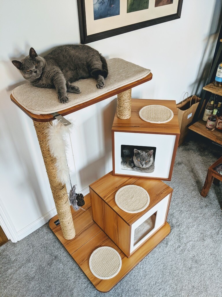 Luxury Cat Tree in Sheffield, South Yorkshire Gumtree