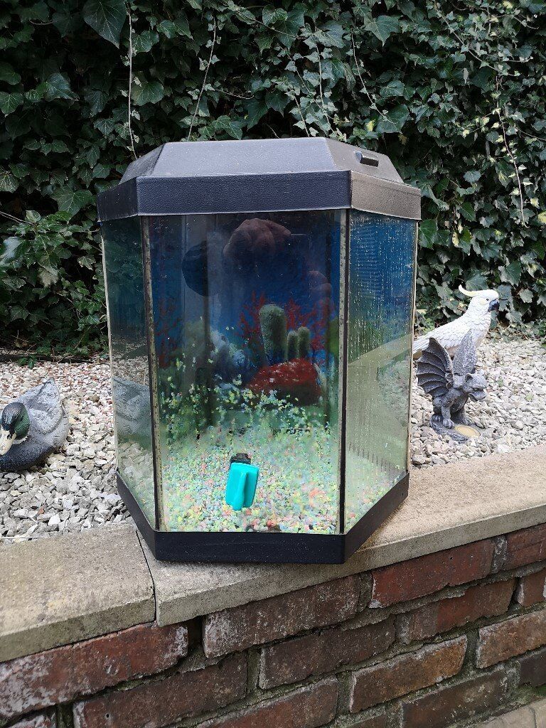 Hexagon shaped Fish Tank in Coventry, West Midlands
