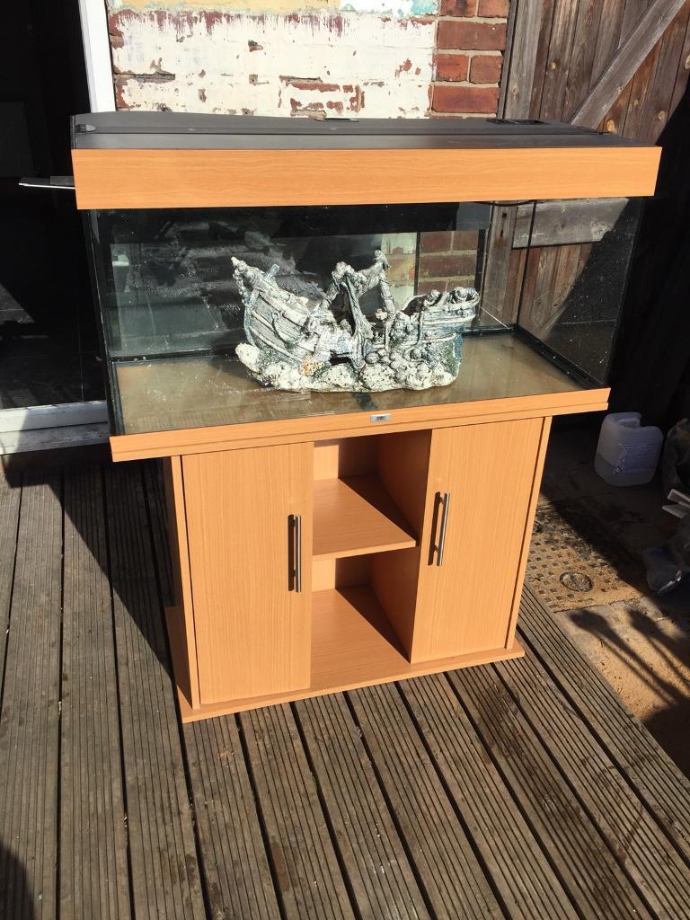 4ft fish tank in Rotherham, South Yorkshire Gumtree