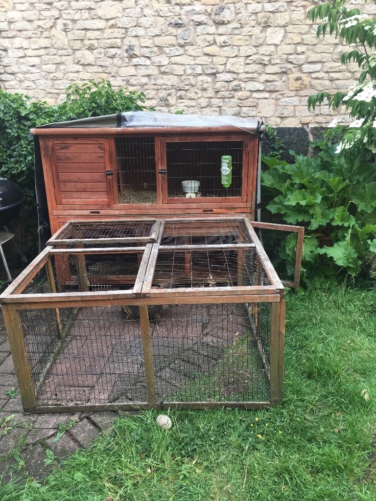 Two lop female rabbits free to good home with hutch and run in