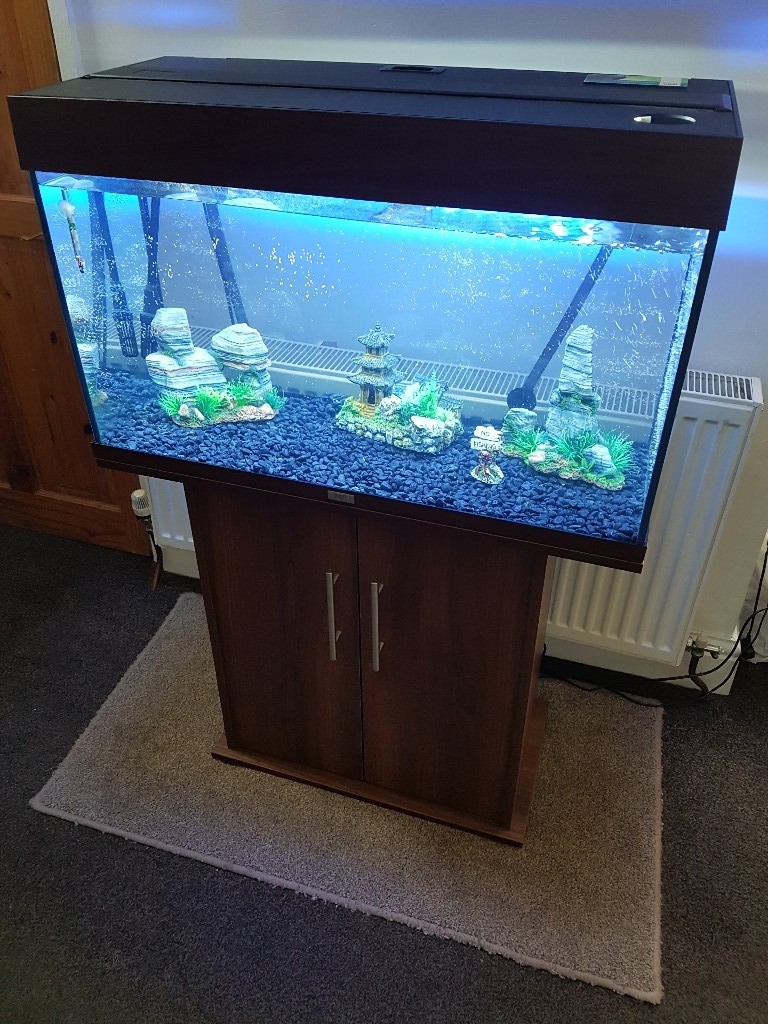 Juwel Rio 125 Litre Fish Tank & Stand Complete Setup in Levenshulme