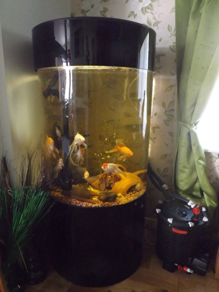 LARGE COLUMN FISH TANK FOR SALE in Newton Aycliffe, County Durham