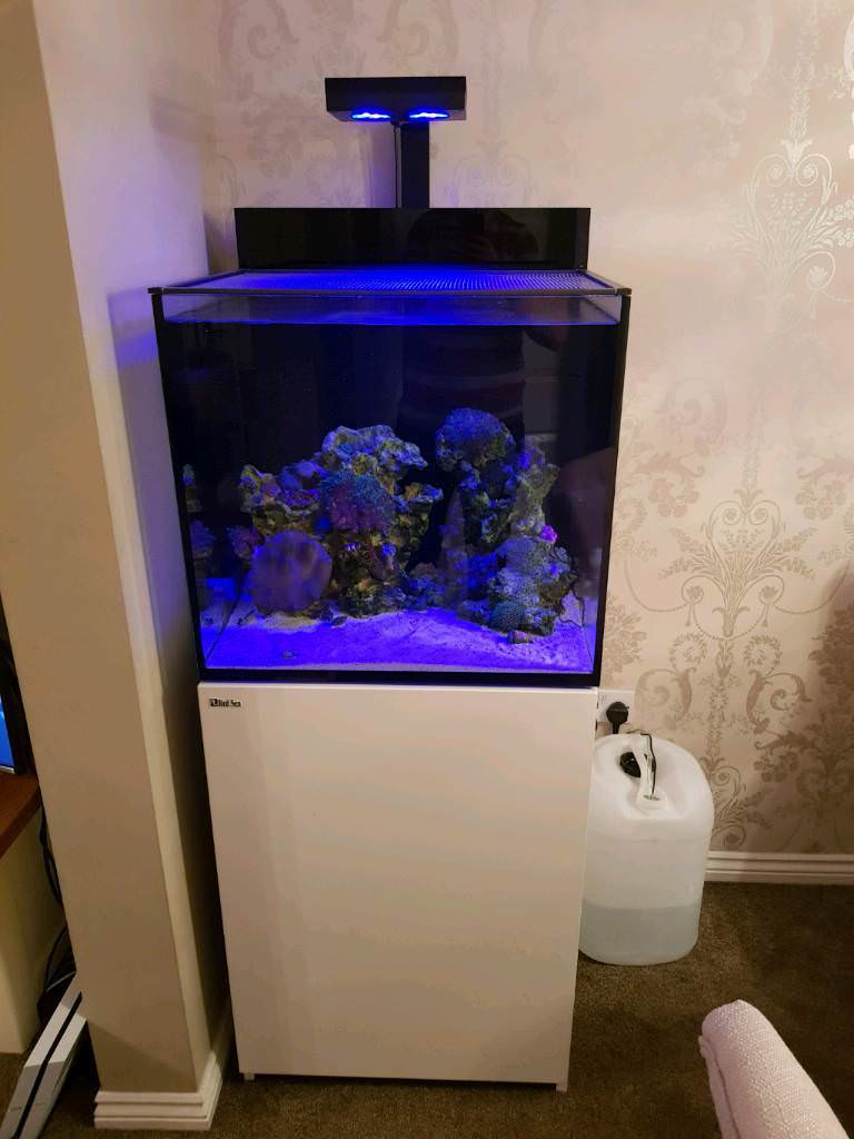 Red sea max E170 marine aquarium fish tank and extras in Buckshaw