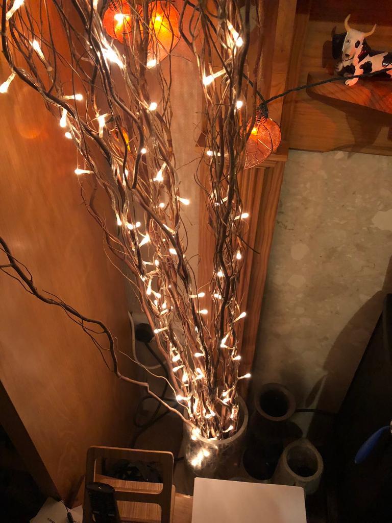 Twisted willow branches with lights in Colchester, Essex Gumtree