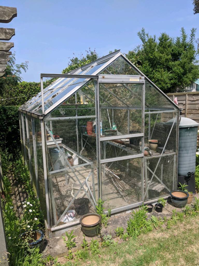 Greenhouse in Norwich, Norfolk Gumtree