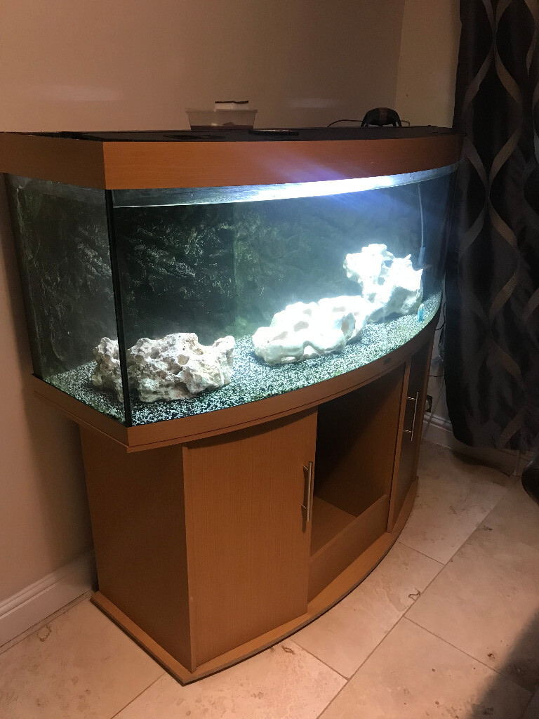 Juwel Large Fish Tank Aquarium inc Stand 1.5m x 0.6m x 0.4m inc in