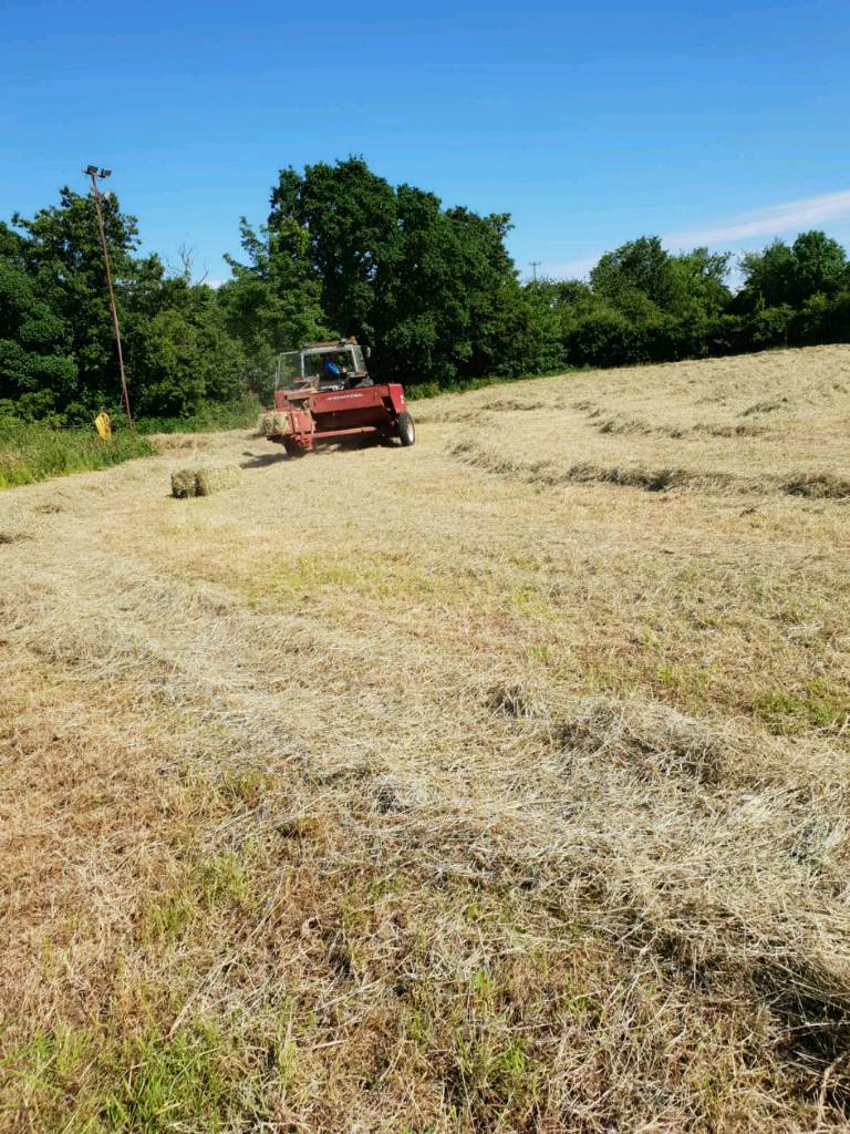 Fresh hay for sale in Portadown, County Armagh Gumtree