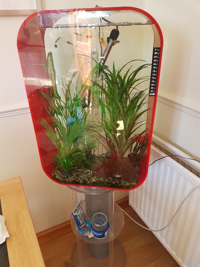 Biorb Life 60L Aquarium in Eaton Socon, Cambridgeshire Gumtree