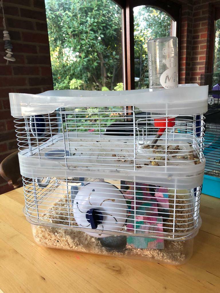 Pretty little mice with cages will sell separately in Shoeburyness