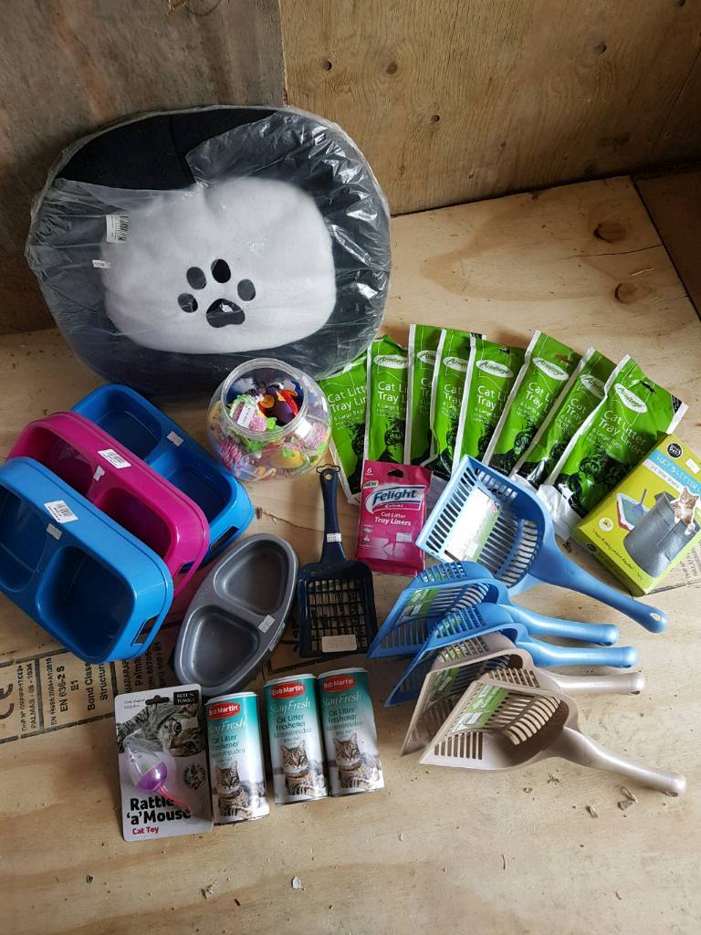 Cat accessories in Cowdenbeath, Fife Gumtree