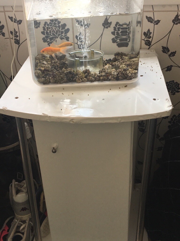 Birob white fish tank and stand in West Bridgford, Nottinghamshire