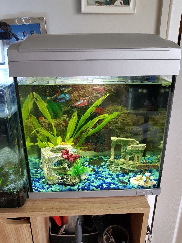 30 litre fish tank with light and filter. in Barry, Vale of Gumtree