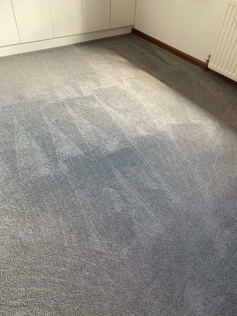 Grey deep pile carpet in Peterhead, Aberdeenshire Gumtree
