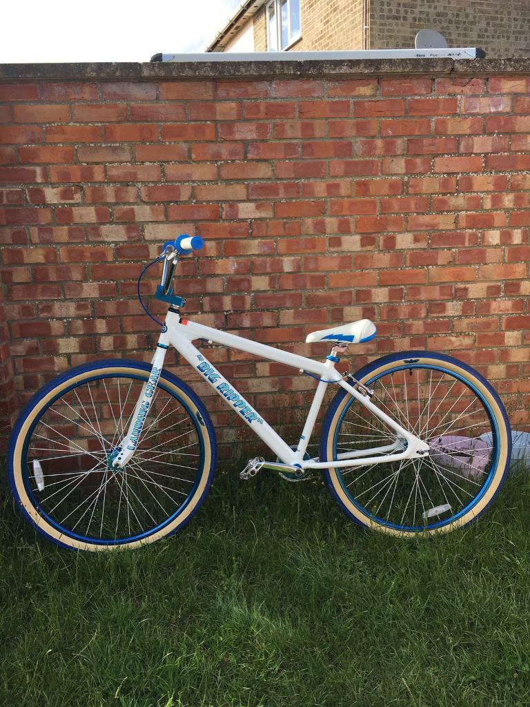 arctic white big ripper