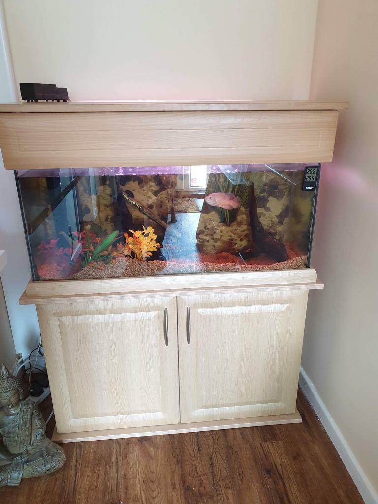 3 foot fish tank and stand in Darlington, County Durham Gumtree