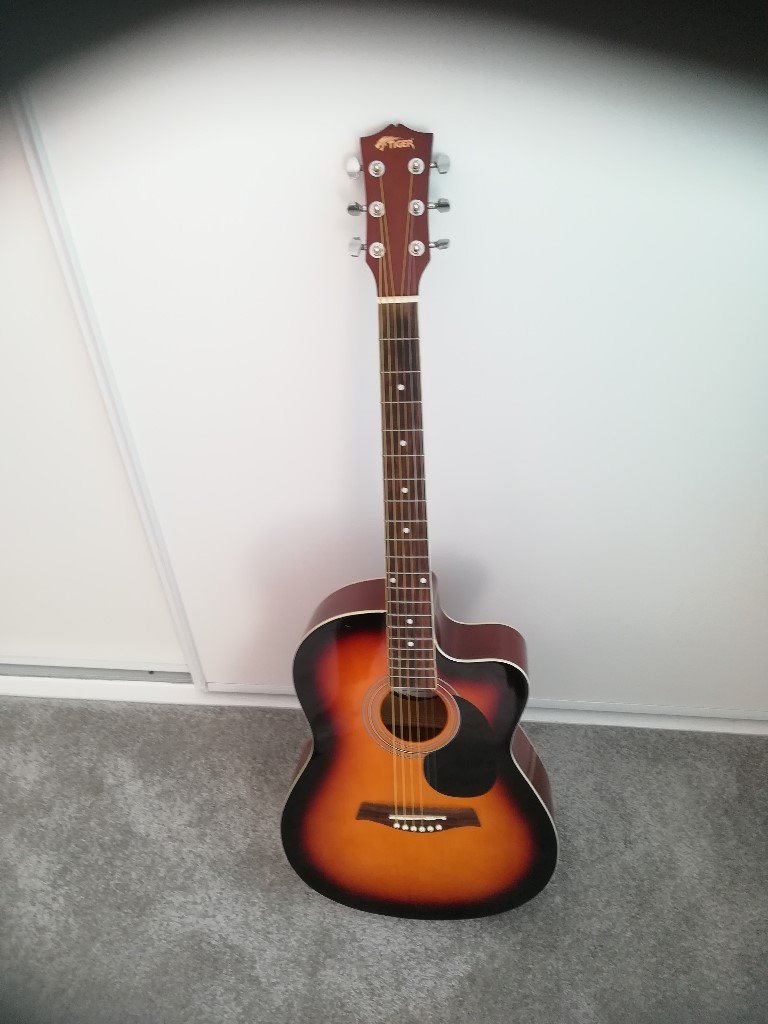 electric/accoustic starter guitar with built in tuner in Newbigginby