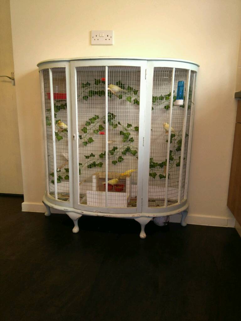 indoor aviary for sale