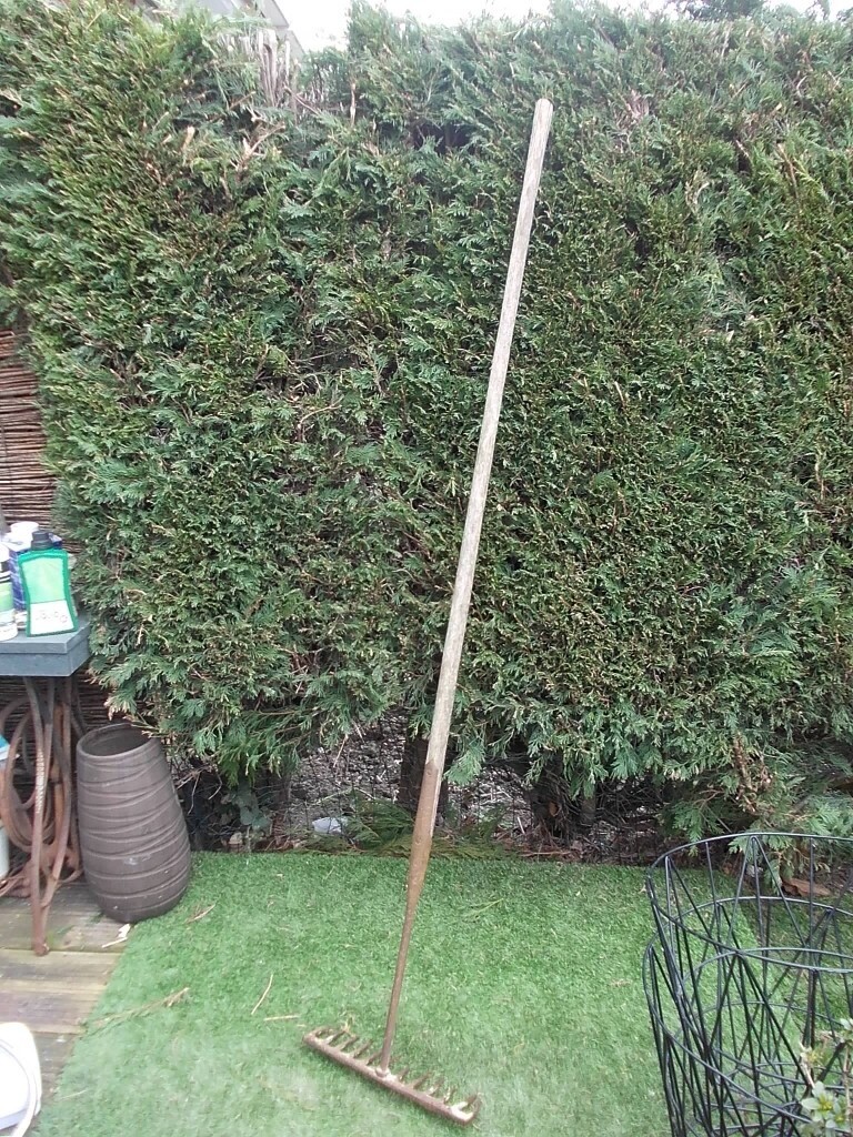 VINTAGE GARDEN RAKE large 12 prong wooden handled antique tool in