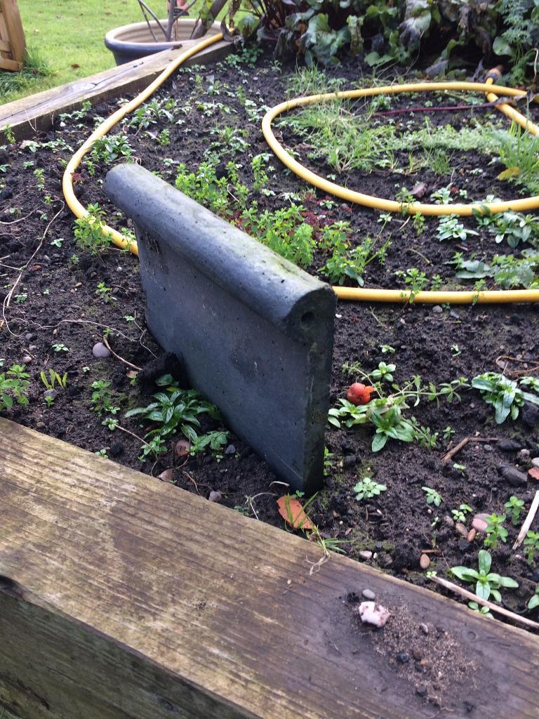 Victorian garden edging in Market Drayton, Shropshire Gumtree