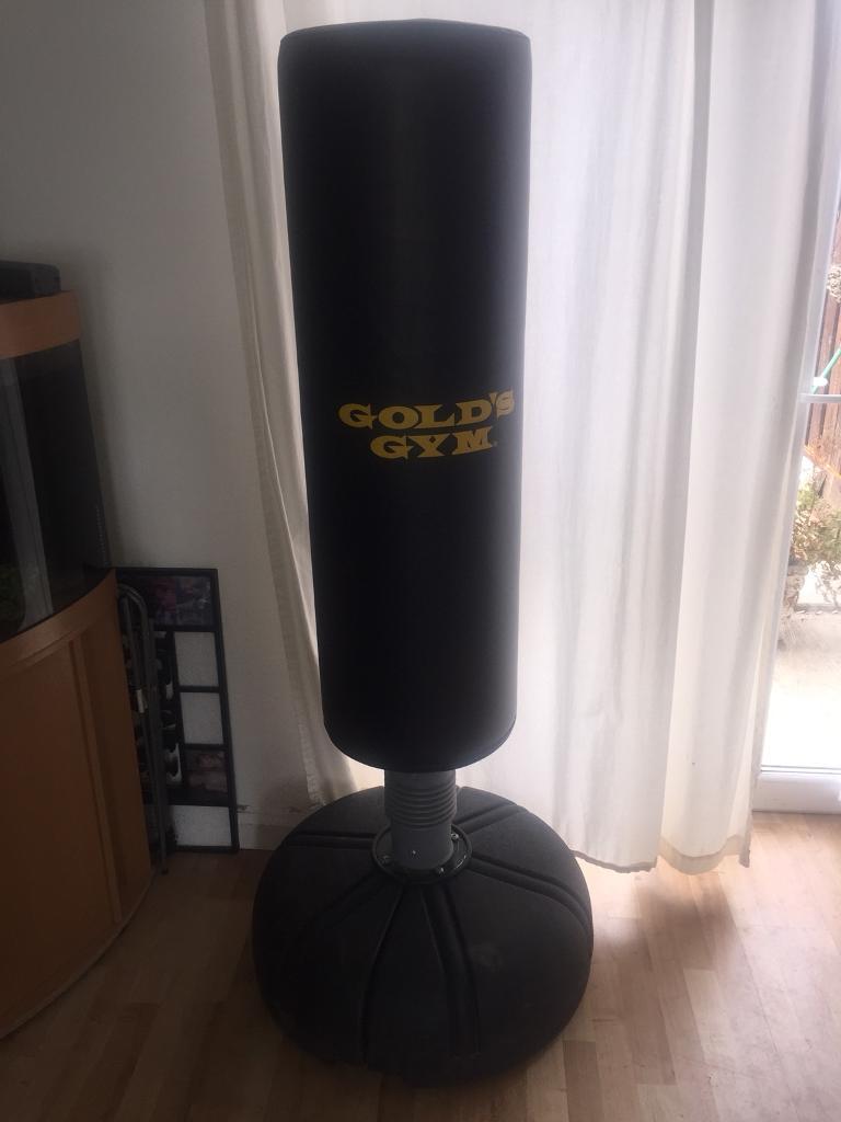 Golds Gym tube trainer punch bag. in SuttononHull, East Yorkshire