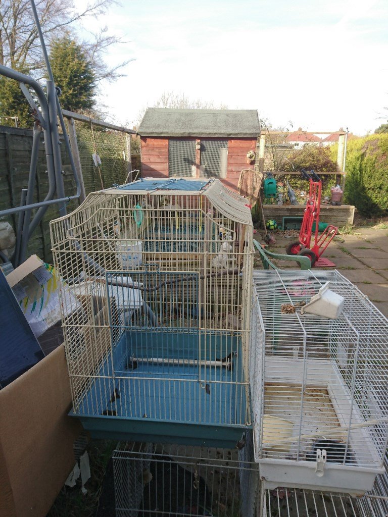 Bird cage used in Nuneaton, Warwickshire Gumtree