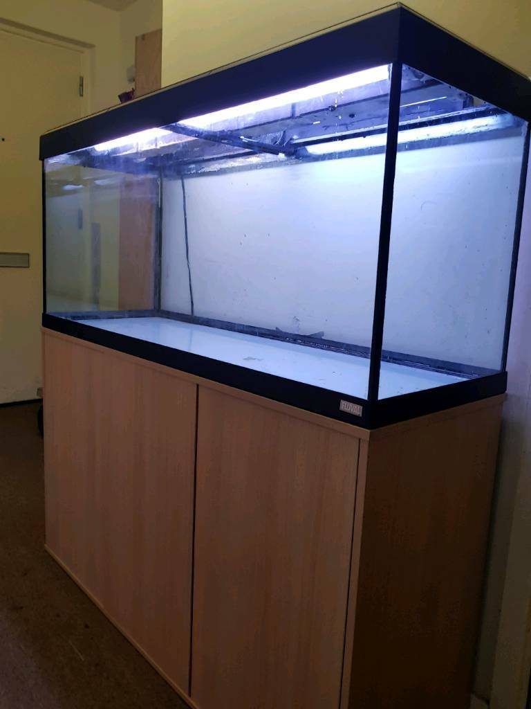 4ft Long Fluval Roma 240 Fish Tank Aquarium Cabinet And Working