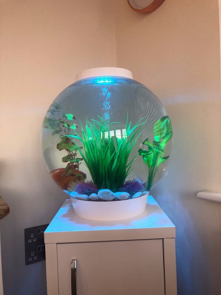 Biorb 60 litre fish tank, accessories & white stand in Wokingham, Berkshire Gumtree