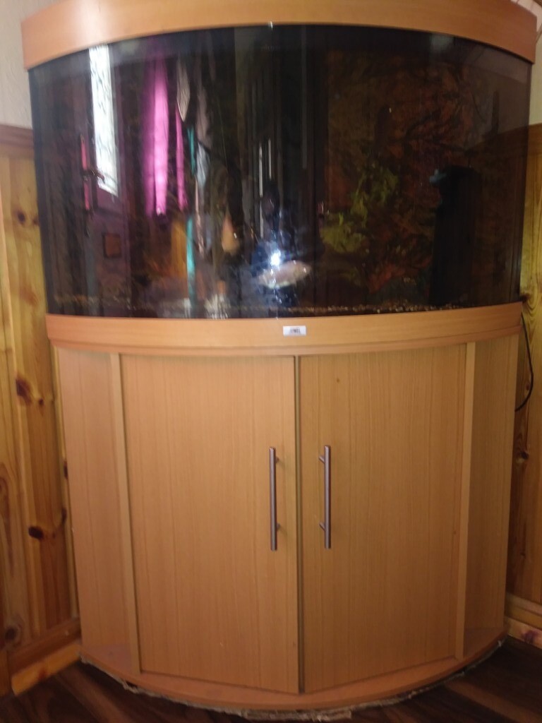 2 large fish tanks for sale. in Buckie, Moray Gumtree