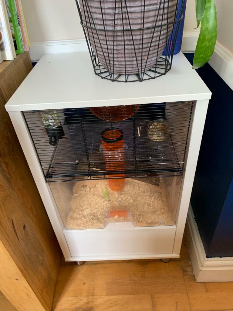 Hamster cage in Preston Lancashire Gumtree