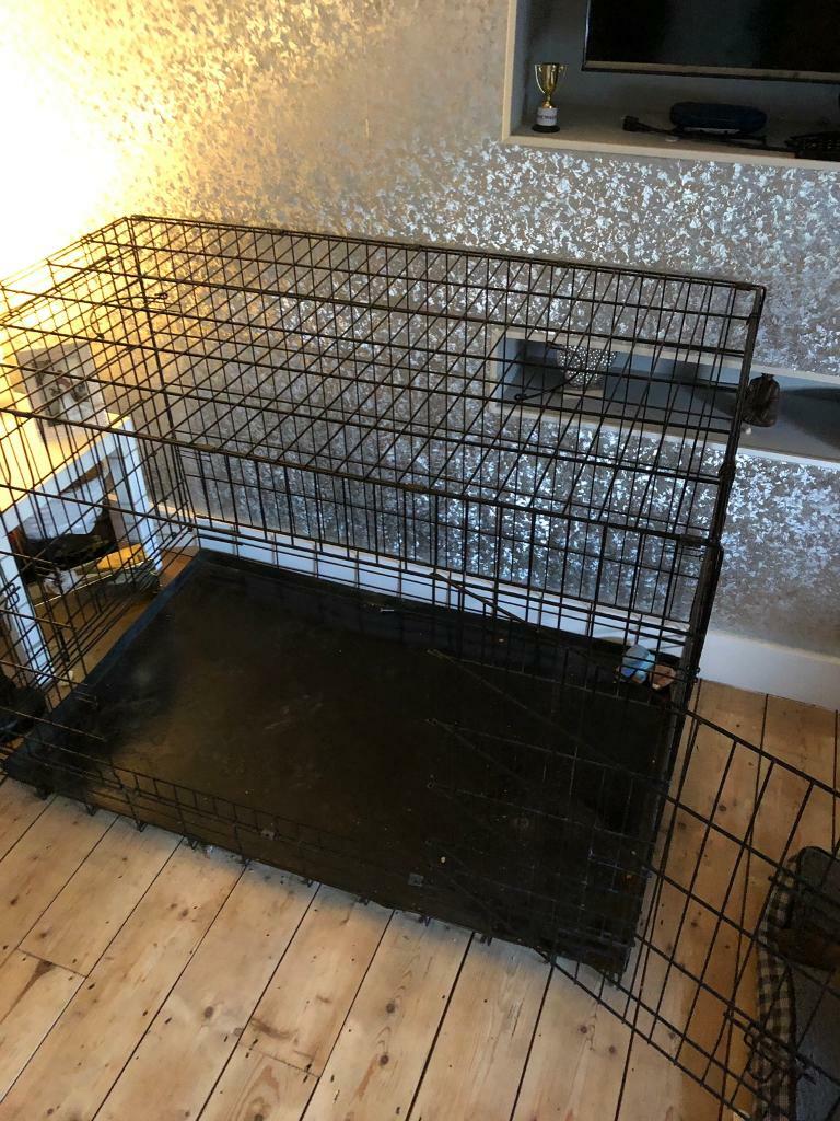 Extra large dog crate in Hatfield, Hertfordshire Gumtree