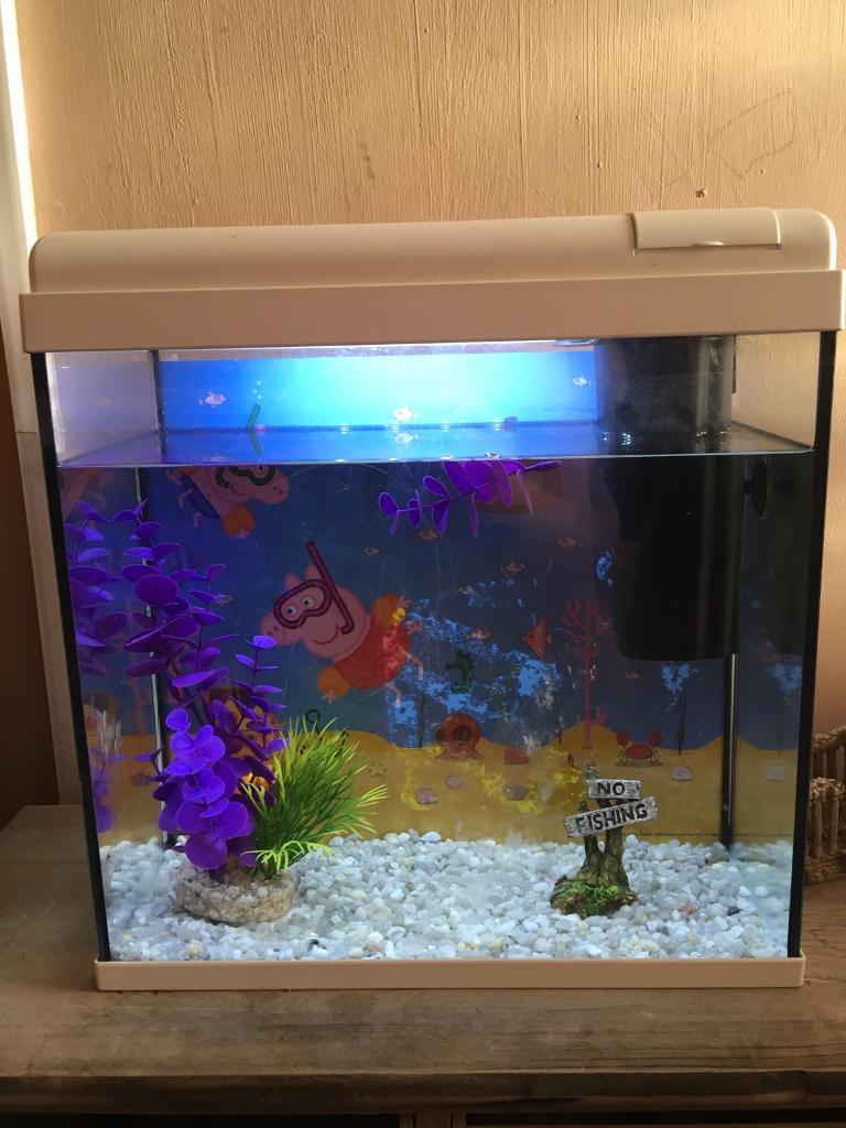 Peppa pig fish tank in Morriston, Swansea Gumtree
