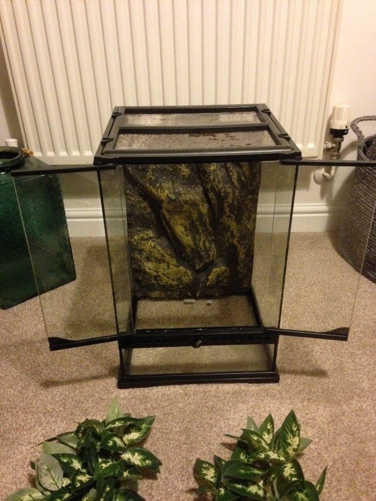Gecko, exo terra, tank, terrarium, vivarium 30x30x45 in Barwell