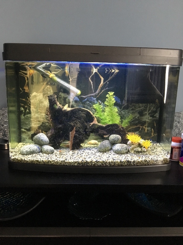 Love Fish 64L Panorama FishTank with complete set up kit ...