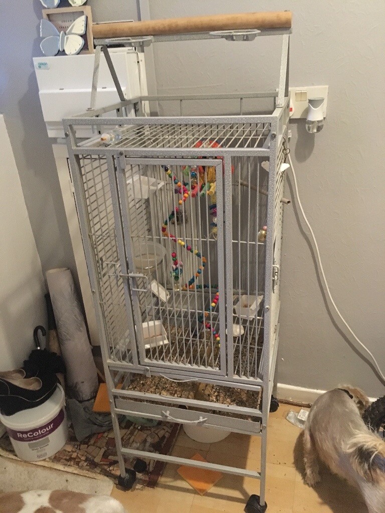 🦜parrot cage 🦜 and feeding bowls in Bootle, Merseyside Gumtree