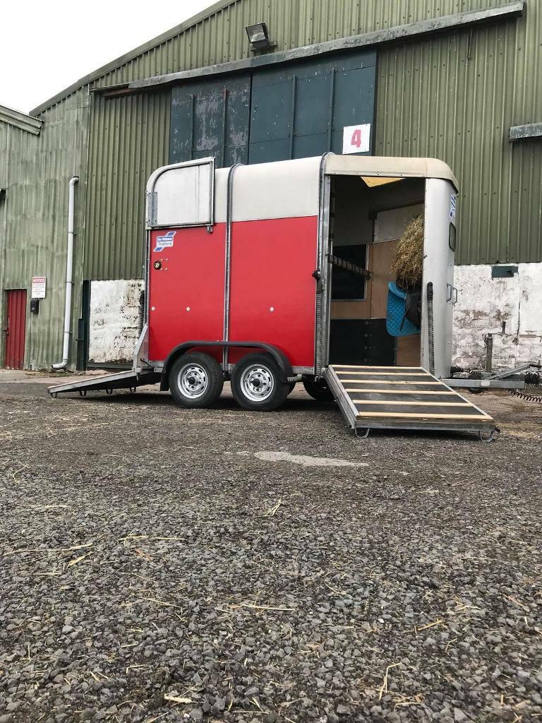 Ifor williams horse trailer 505 in Hawick, Scottish Borders Gumtree