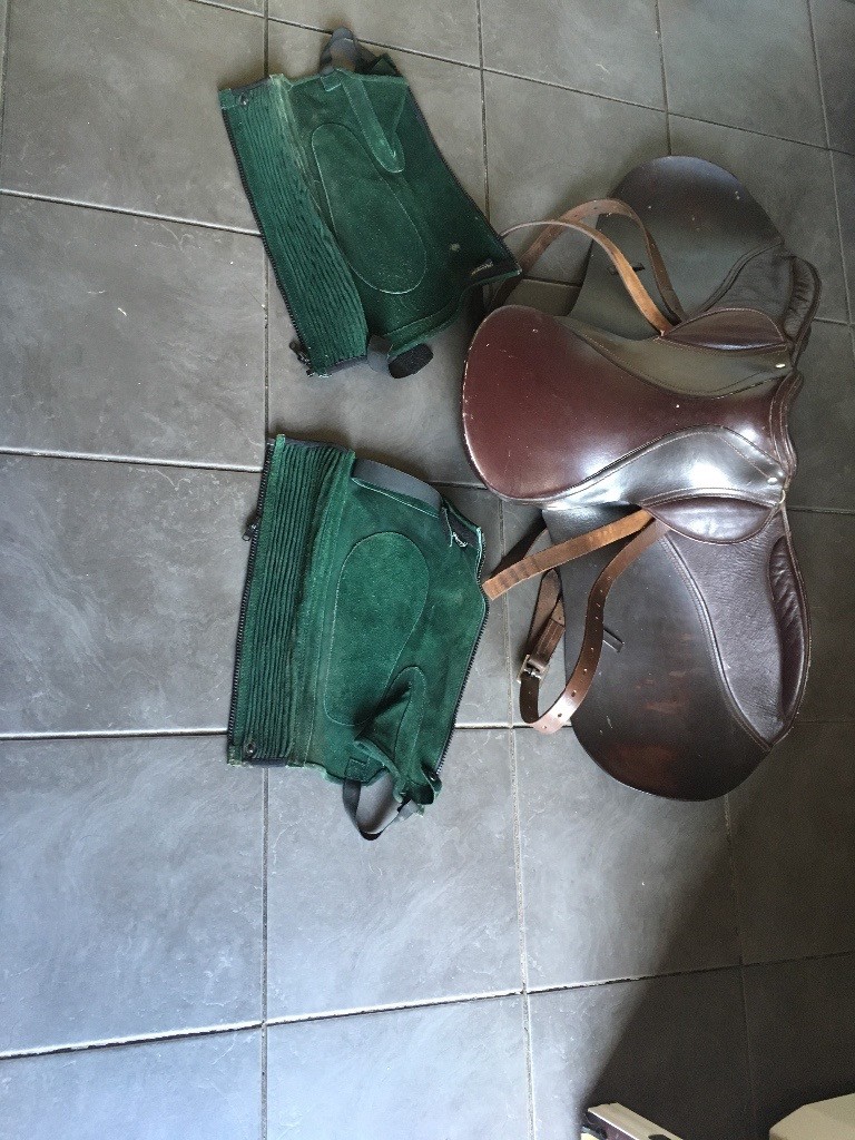 Horse riding equipment in Stirling Gumtree